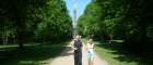 Couple jogging in the Tiergarten - top sight running ground