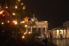 Berlin weihnachtlich - Norwegische Weihnachtstanne vor dem Brandenburger Tor